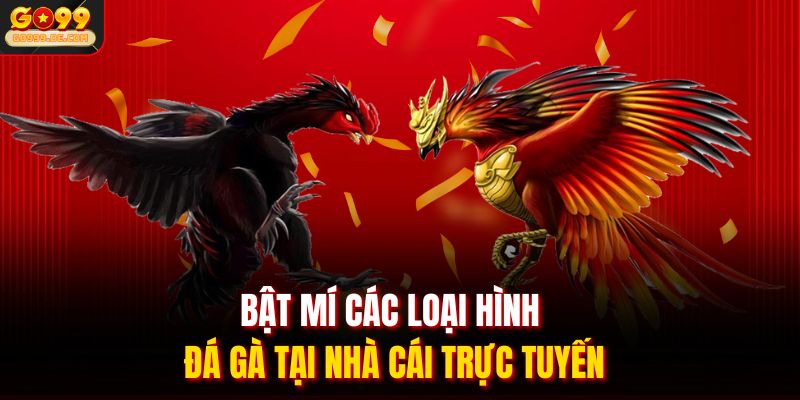 Bật mí các loại hình đá gà tại nhà cái trực tuyến