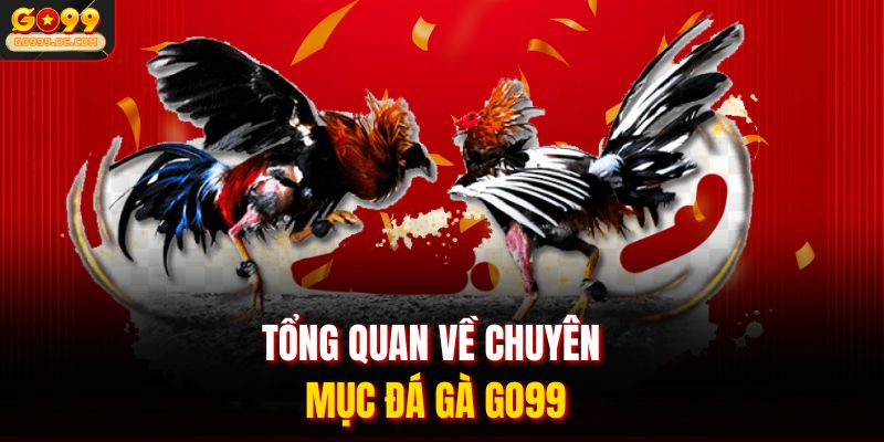 Tổng quan về chuyên mục đá gà GO99